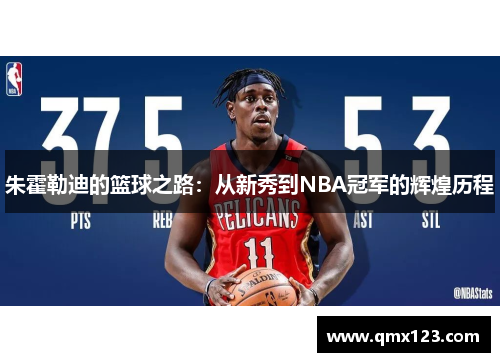 朱霍勒迪的篮球之路：从新秀到NBA冠军的辉煌历程